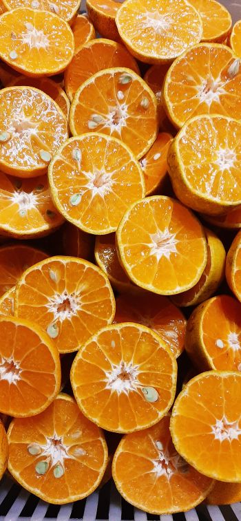 orange wedges, oranges Wallpaper 1125x2436