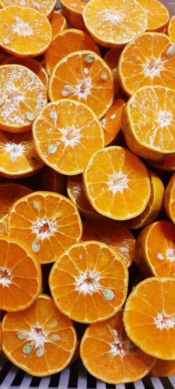 orange wedges, oranges Wallpaper 1080x2400