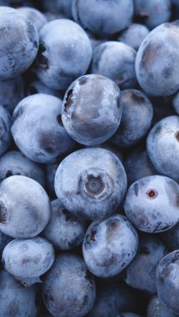blueberry, berry Wallpaper 640x1136