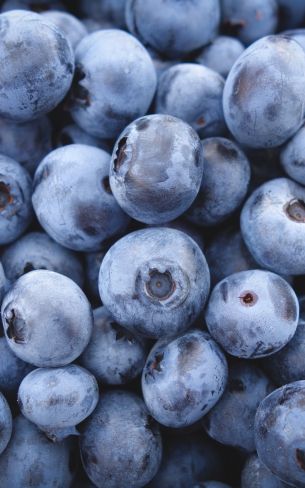 blueberry, berry Wallpaper 800x1280