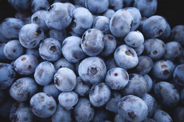 blueberry, berry Wallpaper 2000x1333