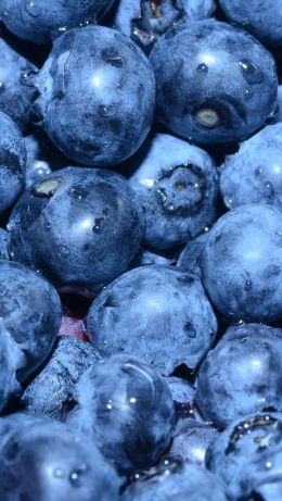 blueberry, berry, blue wallpaper Wallpaper 640x1136