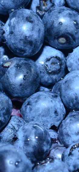 blueberry, berry, blue wallpaper Wallpaper 1080x2340