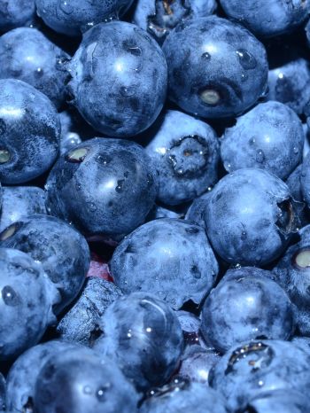 blueberry, berry, blue wallpaper Wallpaper 2048x2732