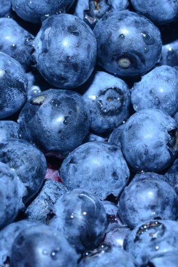 blueberry, berry, blue wallpaper Wallpaper 640x960