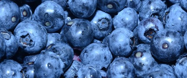 blueberry, berry, blue wallpaper Wallpaper 3440x1440