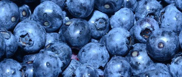 blueberry, berry, blue wallpaper Wallpaper 2560x1080