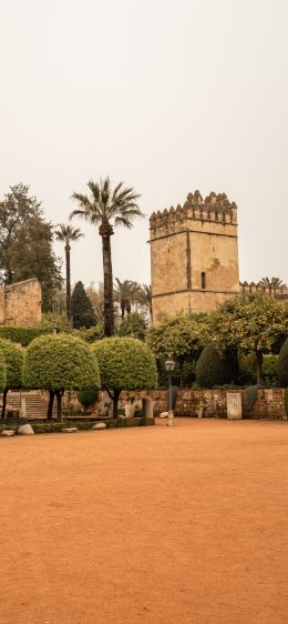 Cordoba, Spain Wallpaper 828x1792