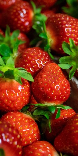 strawberry, berry Wallpaper 720x1440