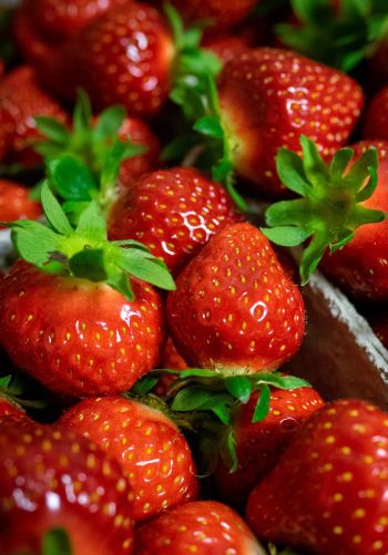 strawberry, berry Wallpaper 1668x2388