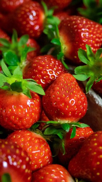 strawberry, berry Wallpaper 1080x1920