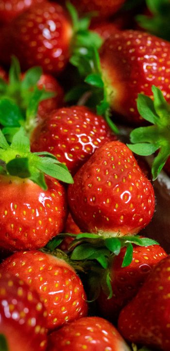 strawberry, berry Wallpaper 1080x2220