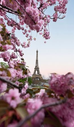 France, Paris, spring Wallpaper 600x1024