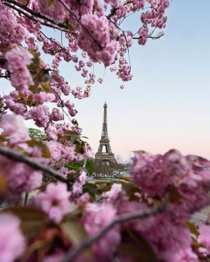France, Paris, spring Wallpaper 3878x4848