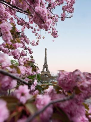 France, Paris, spring Wallpaper 1668x2224