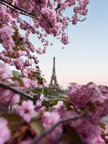 France, Paris, spring Wallpaper 1620x2160