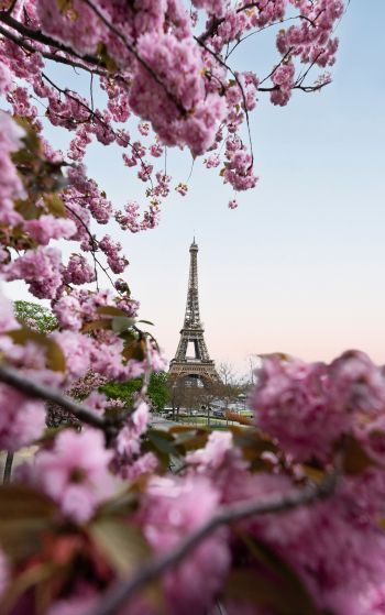 France, Paris, spring Wallpaper 1752x2800