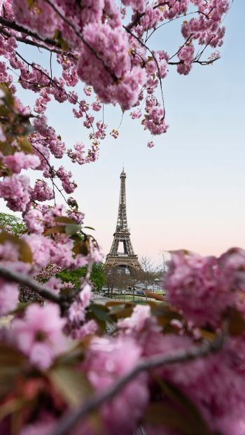 Обои 640x1136 Франция, Париж, весна