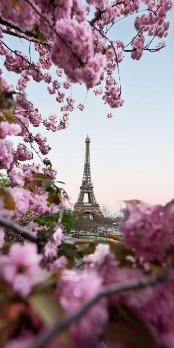 France, Paris, spring Wallpaper 720x1440