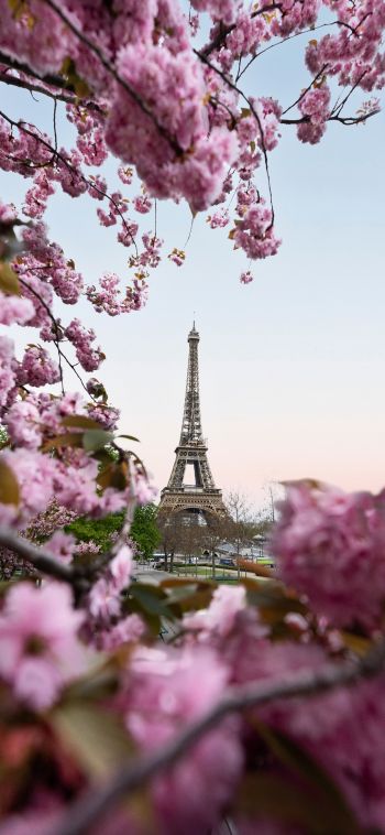 France, Paris, spring Wallpaper 1080x2340