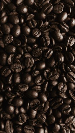 Обои 640x1136 кофейные зерна, кофе, коричневые обои