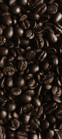 coffee beans, coffee, brown wallpaper Wallpaper 1080x2400