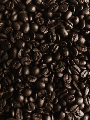 coffee beans, coffee, brown wallpaper Wallpaper 3120x4160