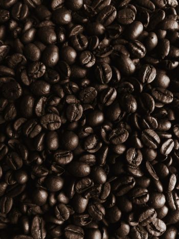coffee beans, coffee, brown wallpaper Wallpaper 1536x2048