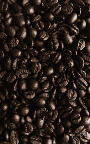 coffee beans, coffee, brown wallpaper Wallpaper 1752x2800