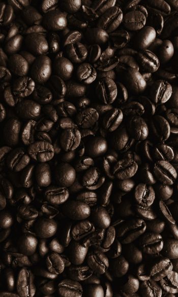 Обои 1200x2000 кофейные зерна, кофе, коричневые обои