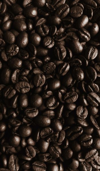 coffee beans, coffee, brown wallpaper Wallpaper 600x1024