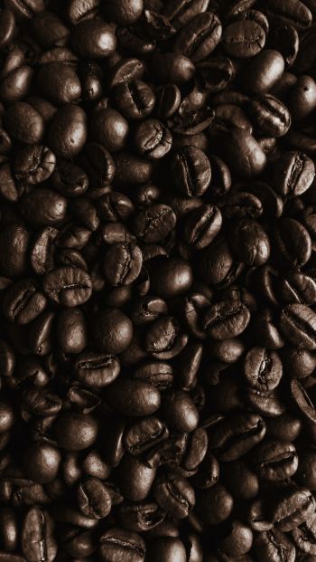 Обои 640x1136 кофейные зерна, кофе, коричневые обои