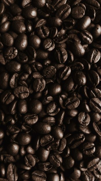 Обои 1440x2560 кофейные зерна, кофе, коричневые обои