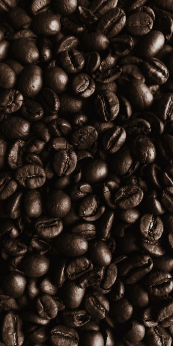Обои 720x1440 кофейные зерна, кофе, коричневые обои