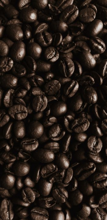 coffee beans, coffee, brown wallpaper Wallpaper 1080x2220