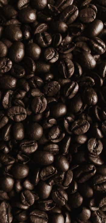 coffee beans, coffee, brown wallpaper Wallpaper 1080x2280