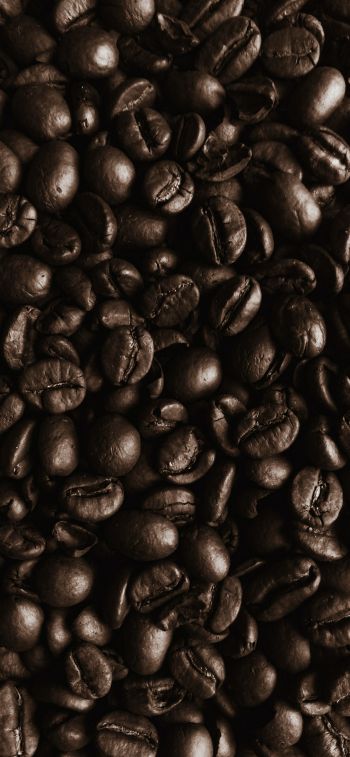 Обои 1125x2436 кофейные зерна, кофе, коричневые обои