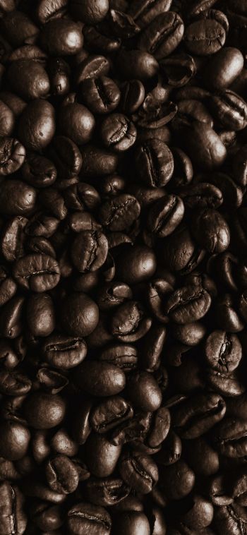 coffee beans, coffee, brown wallpaper Wallpaper 1080x2340