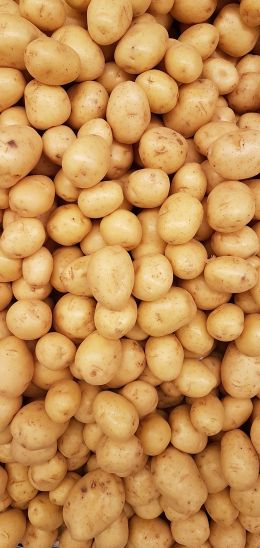 potatoes, vegetable Wallpaper 1440x3040