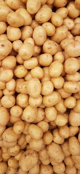 potatoes, vegetable Wallpaper 828x1792