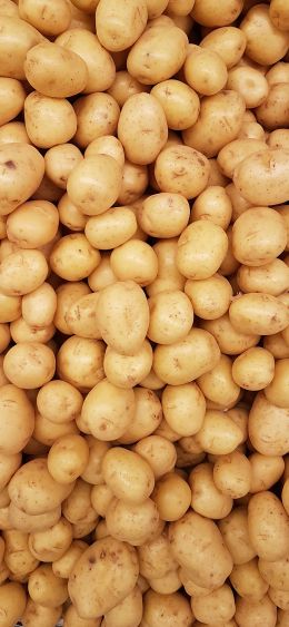 potatoes, vegetable Wallpaper 1080x2340