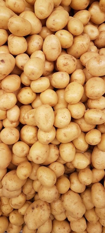potatoes, vegetable Wallpaper 1080x2400