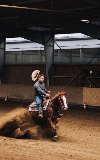 equestrian sport, cowboy Wallpaper 1752x2800