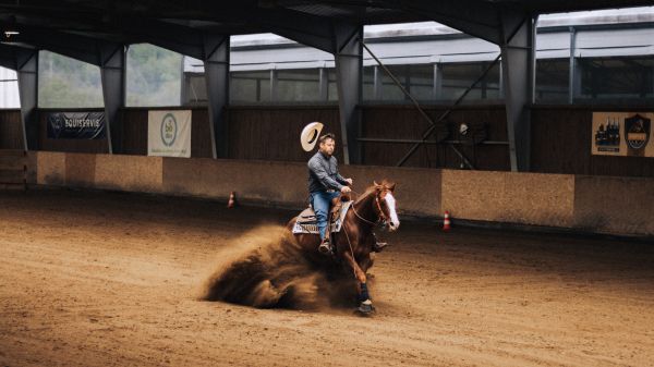 equestrian sport, cowboy Wallpaper 2560x1440