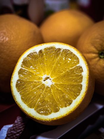 Обои 1668x2224 лимон, фрукты