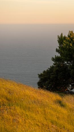 State Park, The Netherlands Wallpaper 640x1136