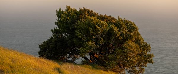 State Park, The Netherlands Wallpaper 3440x1440