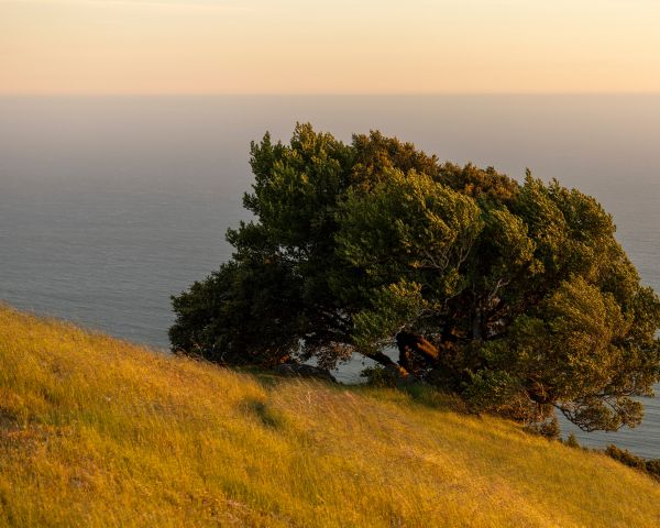 State Park, The Netherlands Wallpaper 1280x1024