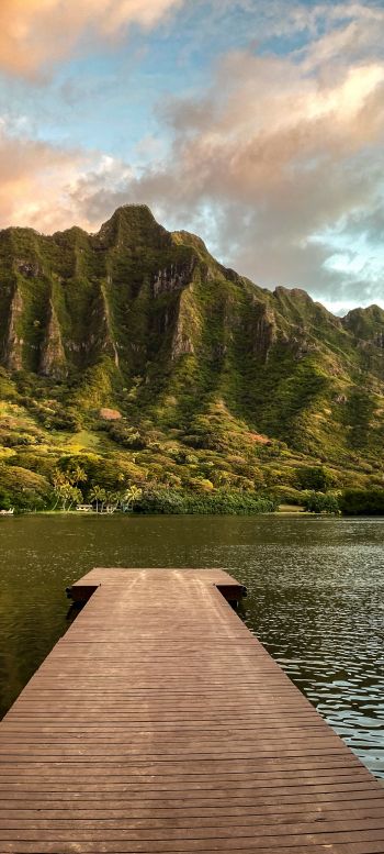 Oahu, Hawaii, USA Wallpaper 1440x3200