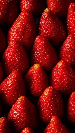 strawberry, summer berry Wallpaper 1440x2560